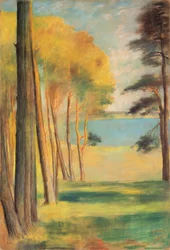 Havel Lake with Pines